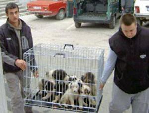 Прикачена снимка