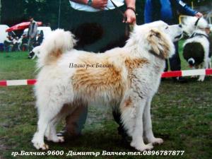 Прикачена снимка