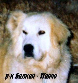 Прикачена снимка