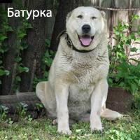 Прикачена снимка