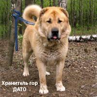 Прикачена снимка