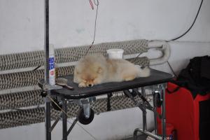Прикачена снимка