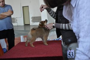 Прикачена снимка
