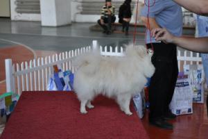 Прикачена снимка