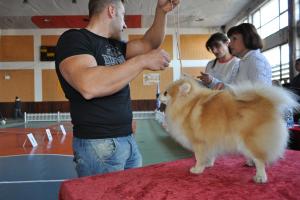 Прикачена снимка