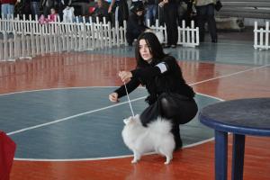 Прикачена снимка