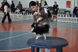 Прикачена снимка