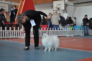 Прикачена снимка