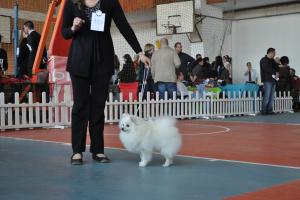 Прикачена снимка