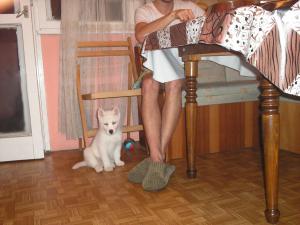 Прикачена снимка