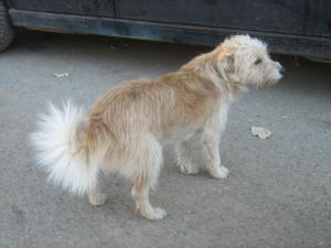 Прикачена снимка