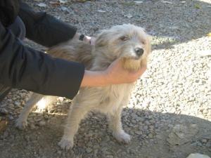 Прикачена снимка