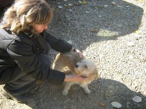 Прикачена снимка