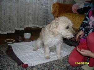 Прикачена снимка