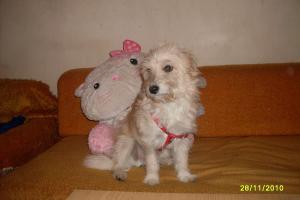 Прикачена снимка