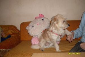 Прикачена снимка