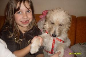 Прикачена снимка