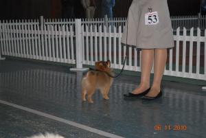 Прикачена снимка