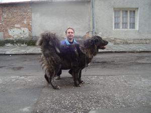 Прикачена снимка