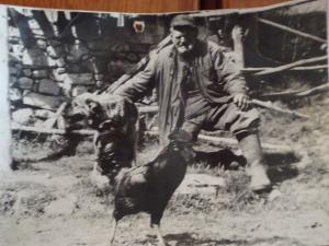 Прикачена снимка