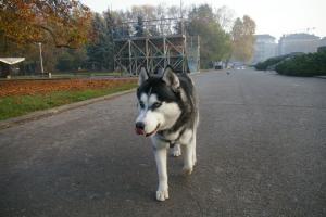 Прикачена снимка