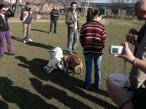 Прикачена снимка