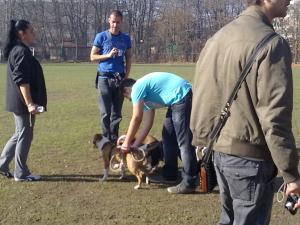 Прикачена снимка