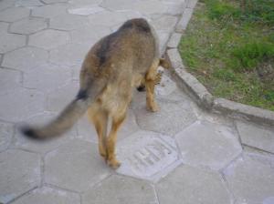 Прикачена снимка