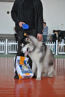Прикачена снимка
