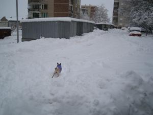 Прикачена снимка