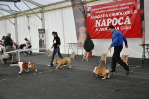 Прикачена снимка