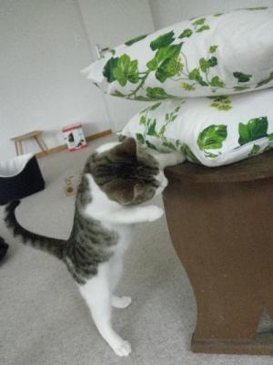 Прикачена снимка