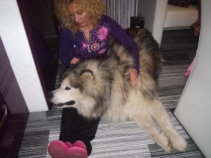 Прикачена снимка