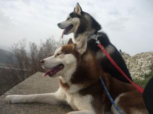 Прикачена снимка
