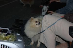 Прикачена снимка