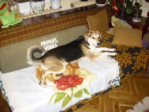 Прикачена снимка