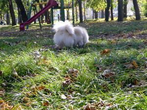 Прикачена снимка