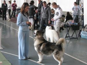 Прикачена снимка