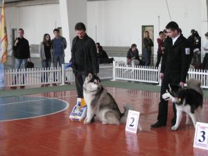 Прикачена снимка