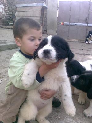 Прикачена снимка