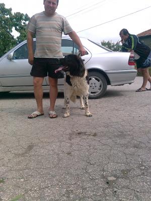 Прикачена снимка