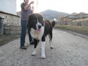 Прикачена снимка