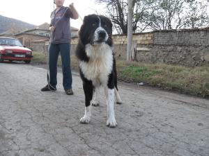 Прикачена снимка