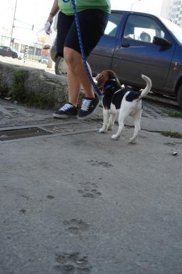 Прикачена снимка