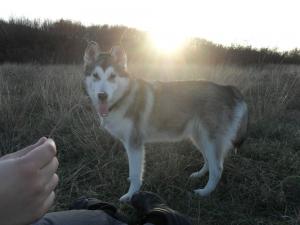Прикачена снимка