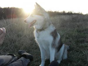 Прикачена снимка