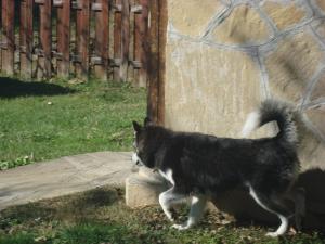 Прикачена снимка