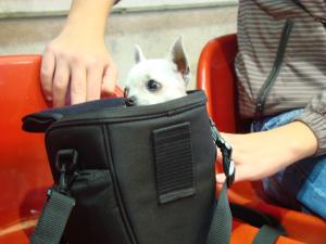 Прикачена снимка