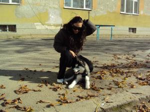 Прикачена снимка