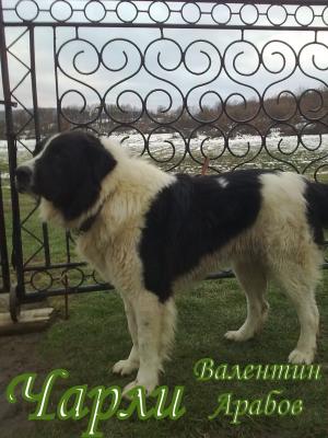 Прикачена снимка